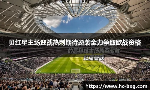 星空dian'j官网入口